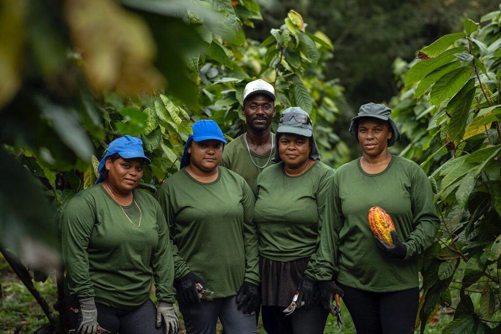 A team of agroforestry workers in green uniforms stands amidst cacao trees in southern Bahia, Brazil, with one worker holding a cacao pod.